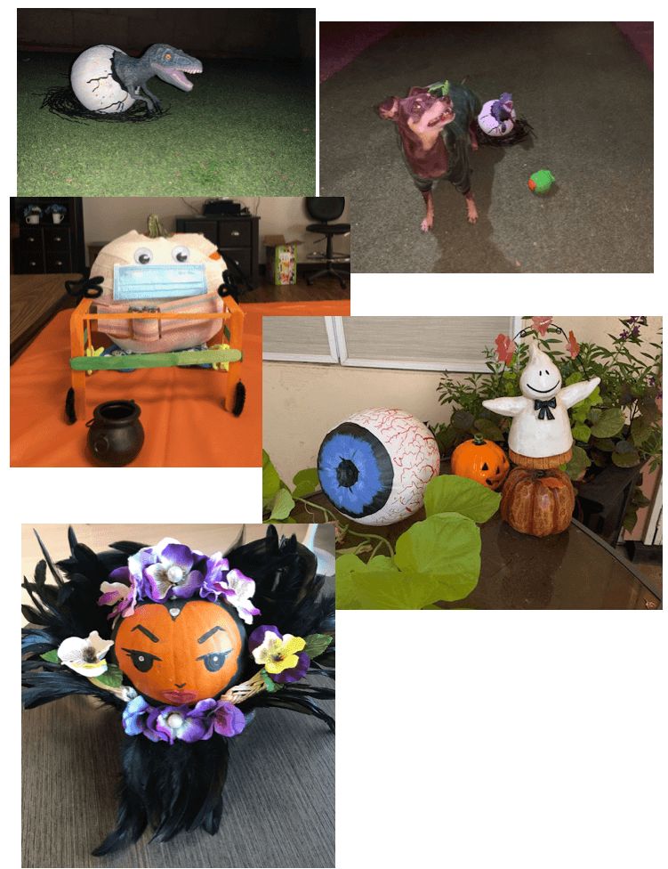 pumpkin carving contest devoted guardians 3